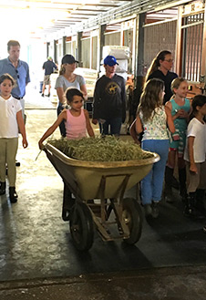 Pony Camp