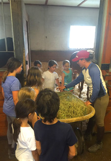 Pony Camp